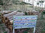 2019050157.jpg