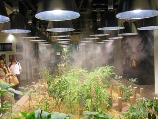 IMG_0080.jpg