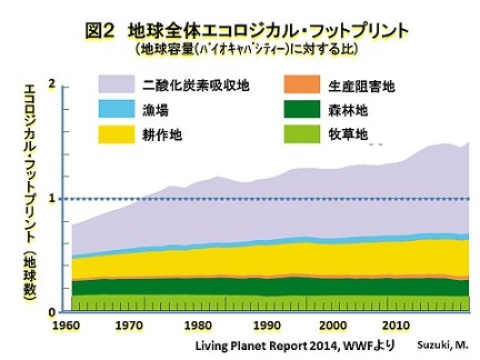 fig2.jpg