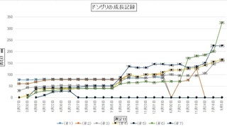 graph1.jpg