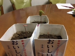 image1.jpeg