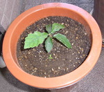 20180626-No1.jpg
