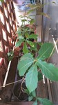 IMG_20181103_195028.jpg