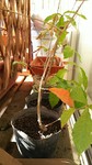 IMG_20181230_141847.jpg