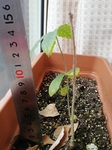 Don20190128_05.jpg