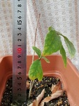 Don20190128_04.jpg