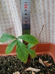 Don20190128_01.jpg