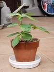 20190427_095904.jpg