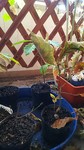 IMG_20191122_101623.jpg