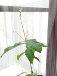 Don20200501_085002.jpg