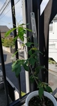 Don20200501_085001.jpg