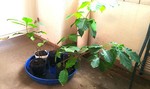 IMG_20200707_175917.jpg